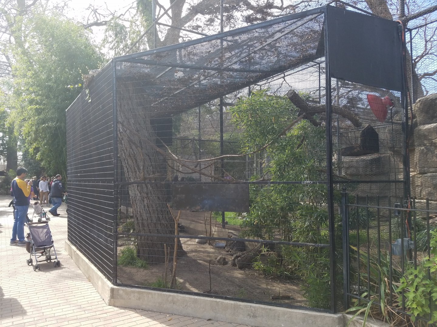 Aviary filled with Guira Cuckoo