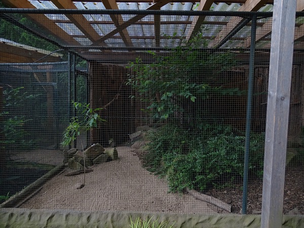 Aviary for alpine rock partridge (07/22)