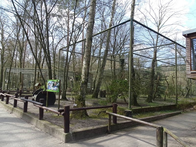 Aviary for bald eagle