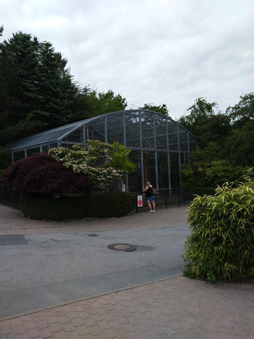 Aviary for Barbary macaque