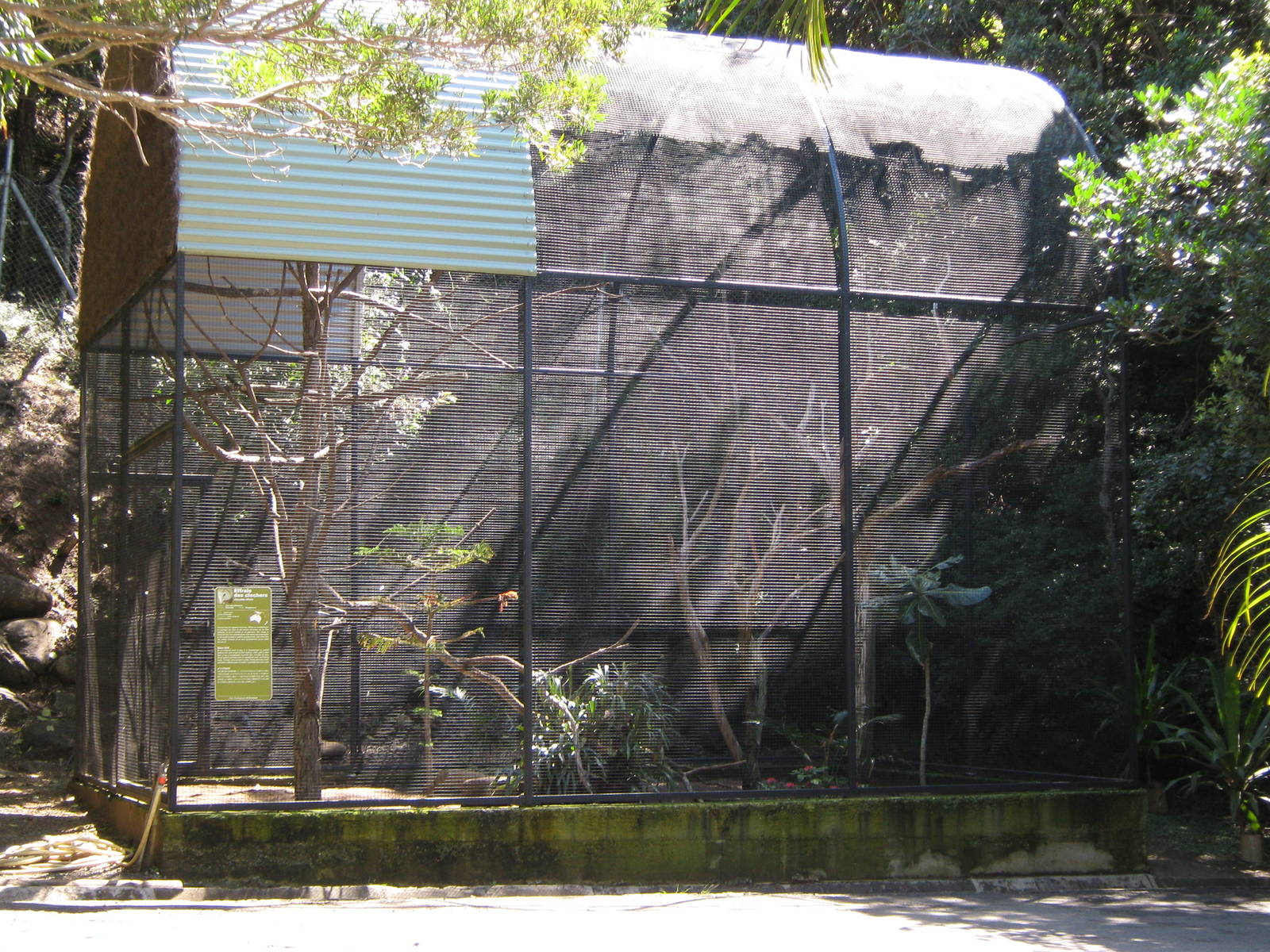 aviary for barn owls (Tyto alba)