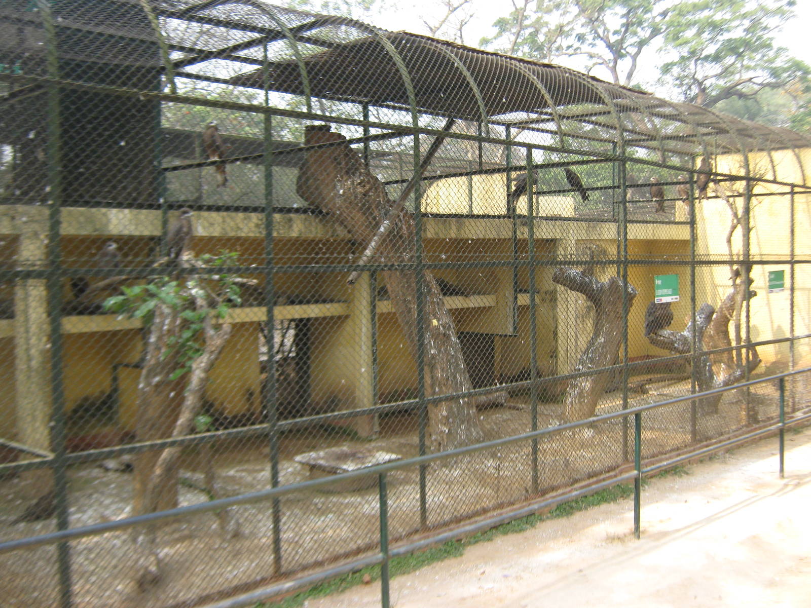 aviary for birds of prey