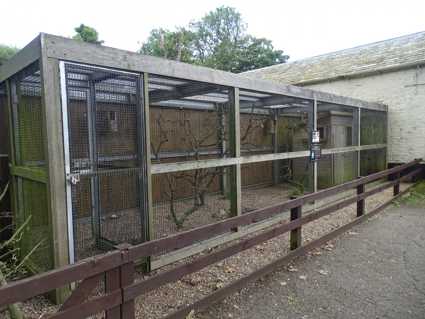 Aviary for Black-cheeked Lovebirds, 17th July 2024