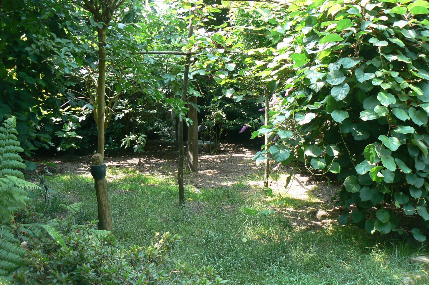 Aviary for black necked cranes, himalayan monal, golden pheasant and red-billed blue magpies