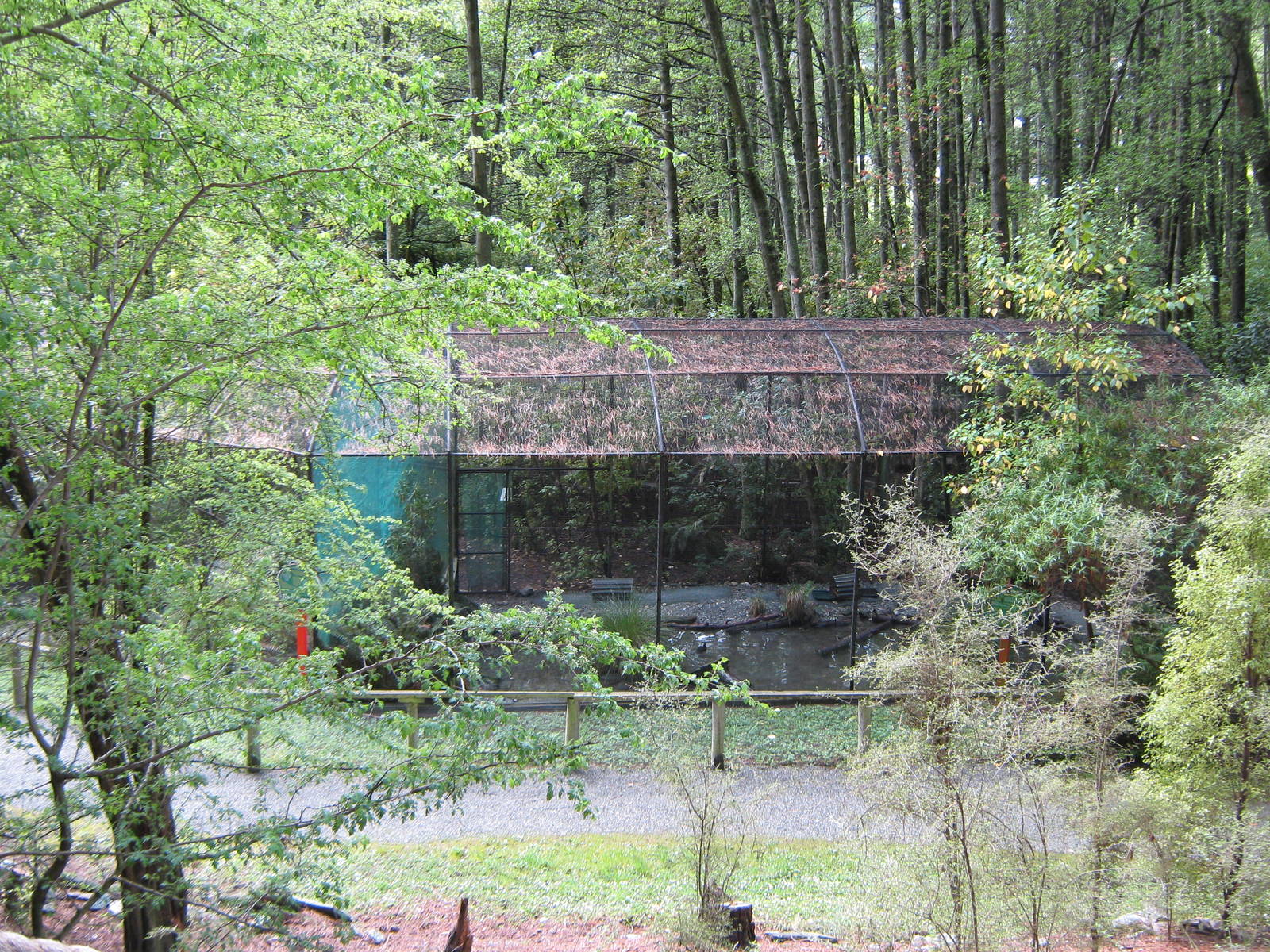 aviary for black stilts (Himantopus novaezelandiae)