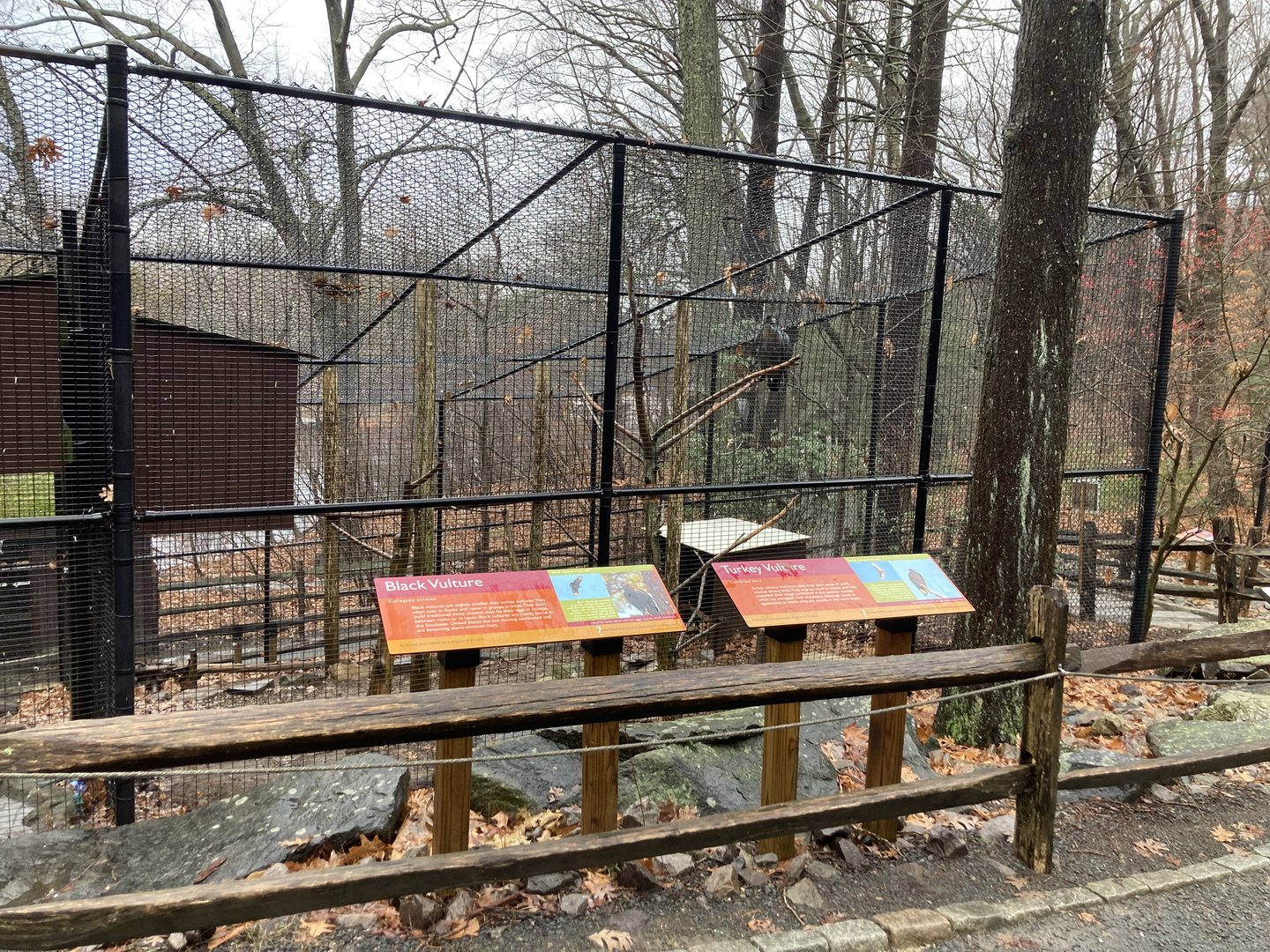 Aviary for Black Vulture and Turkey Vulture