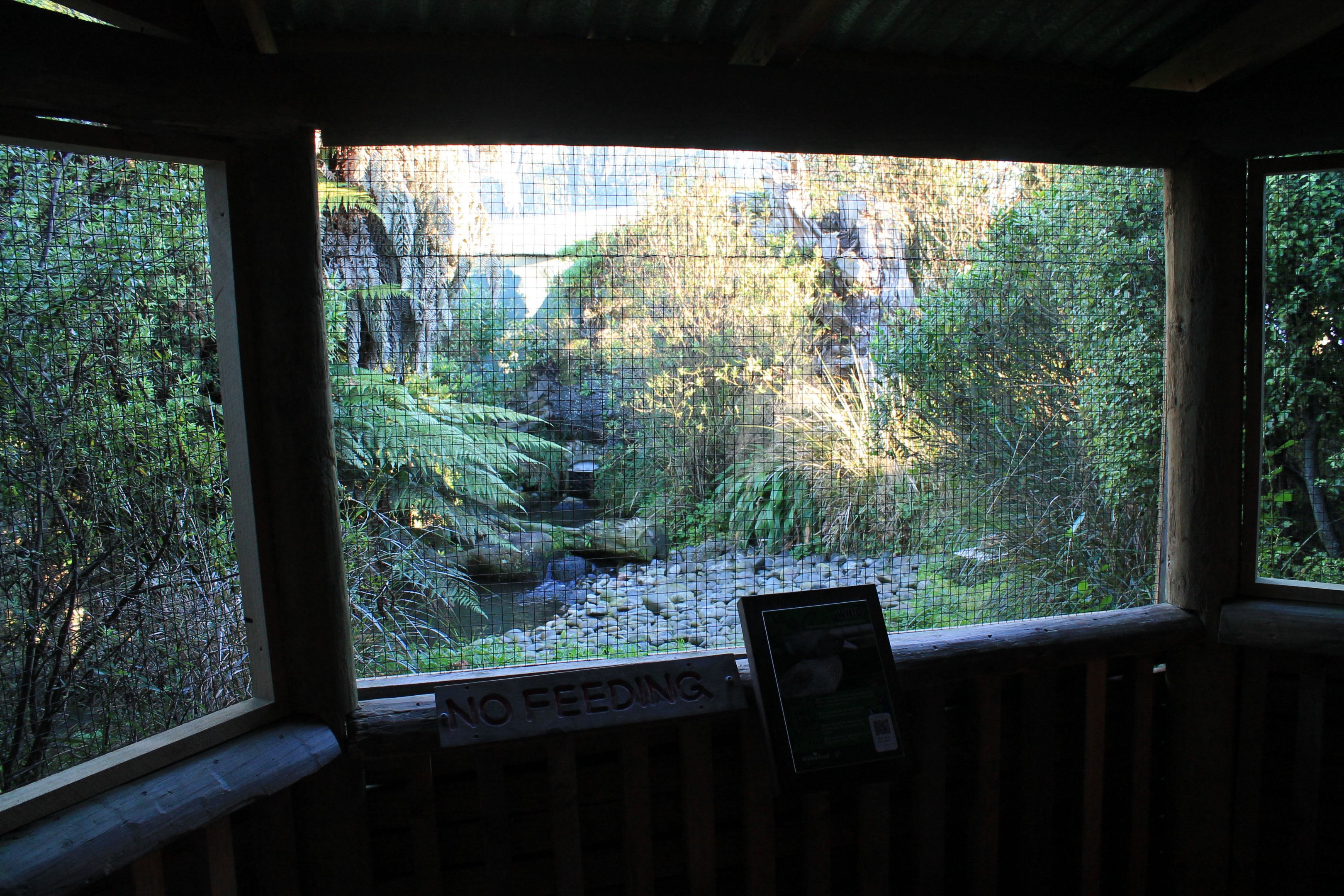 Aviary for Blue Duck (Hymenolaimus malacorhynchos)