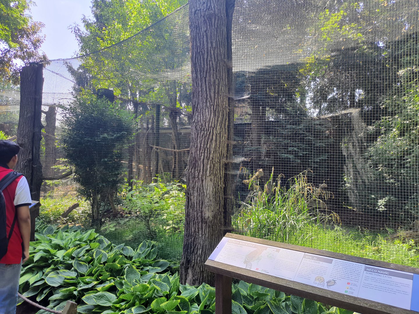 Aviary for Buffy fish owl- Prague Zoo Praha