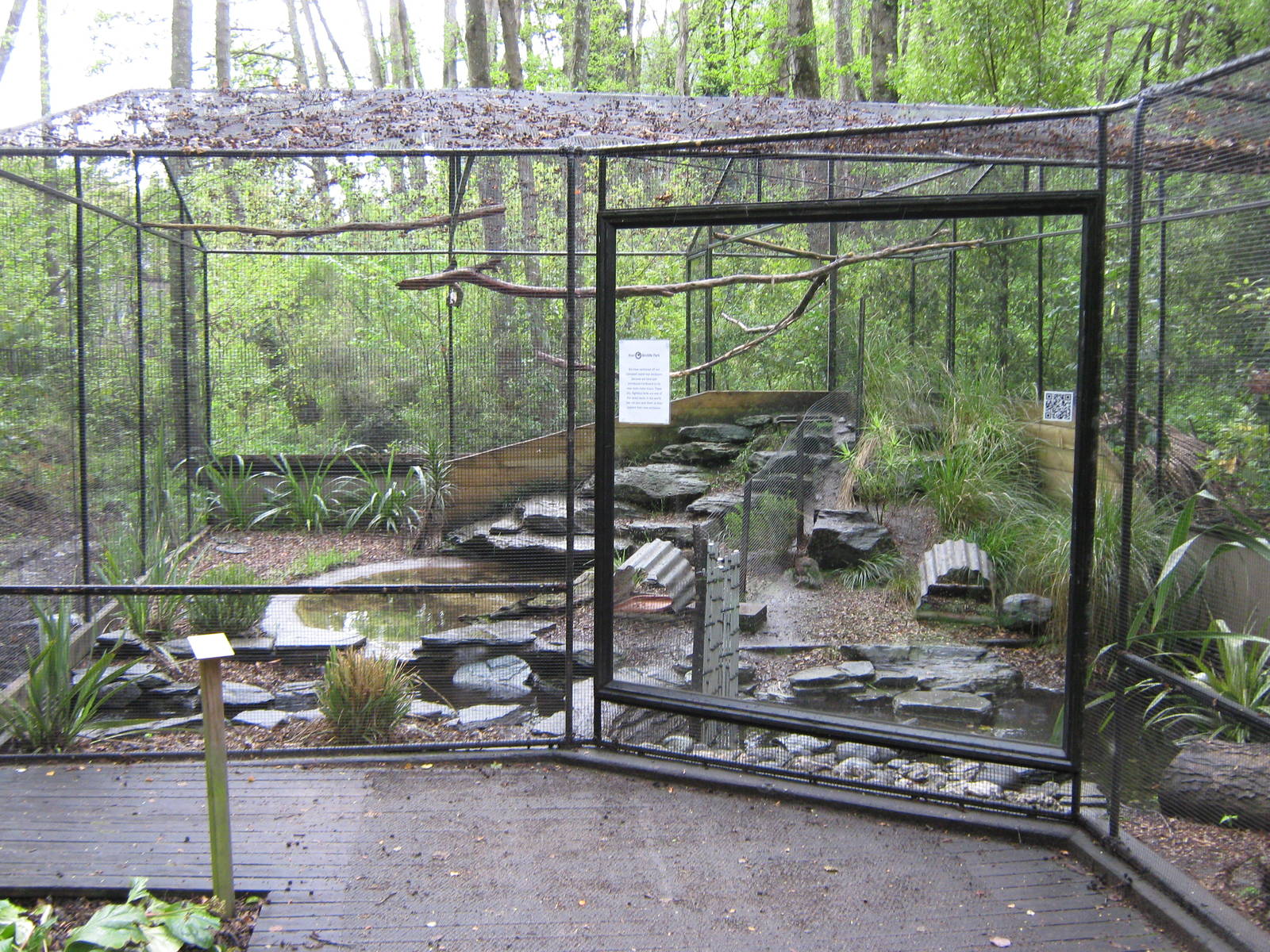 aviary for Campbell Island teal (Anas nesiotis)