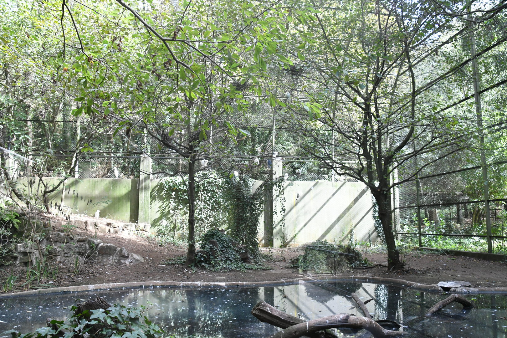 Aviary for Cattle Egrets and Black-crowned High Herons