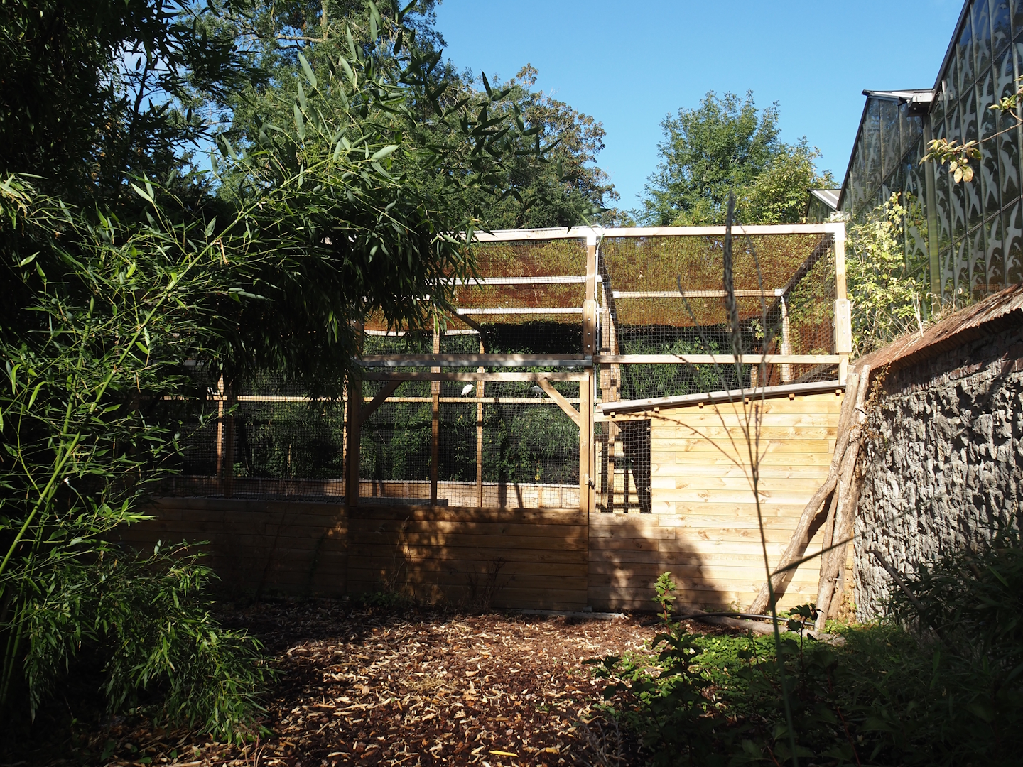 Aviary for Cattle egrets used in bird show and free-flight trainings, naer the Oasis greenhouse, 2025-09-01
