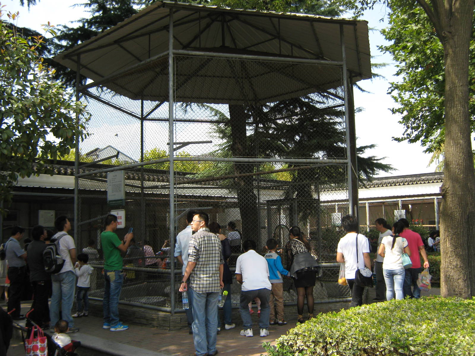 aviary for cinereous vulture (Aegypius monachus)