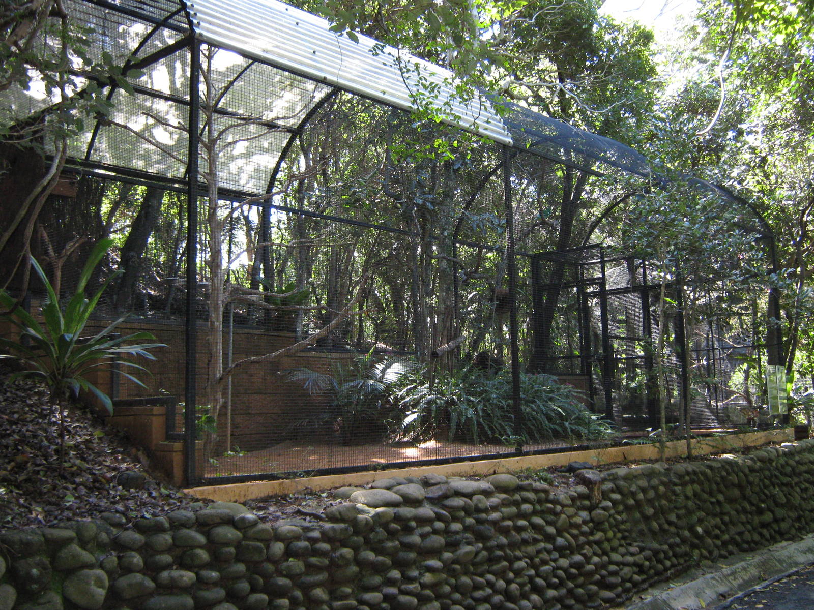 aviary for cloven-feathered doves and red-throated parrotfinches