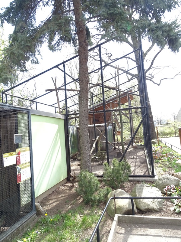 Aviary for common raven