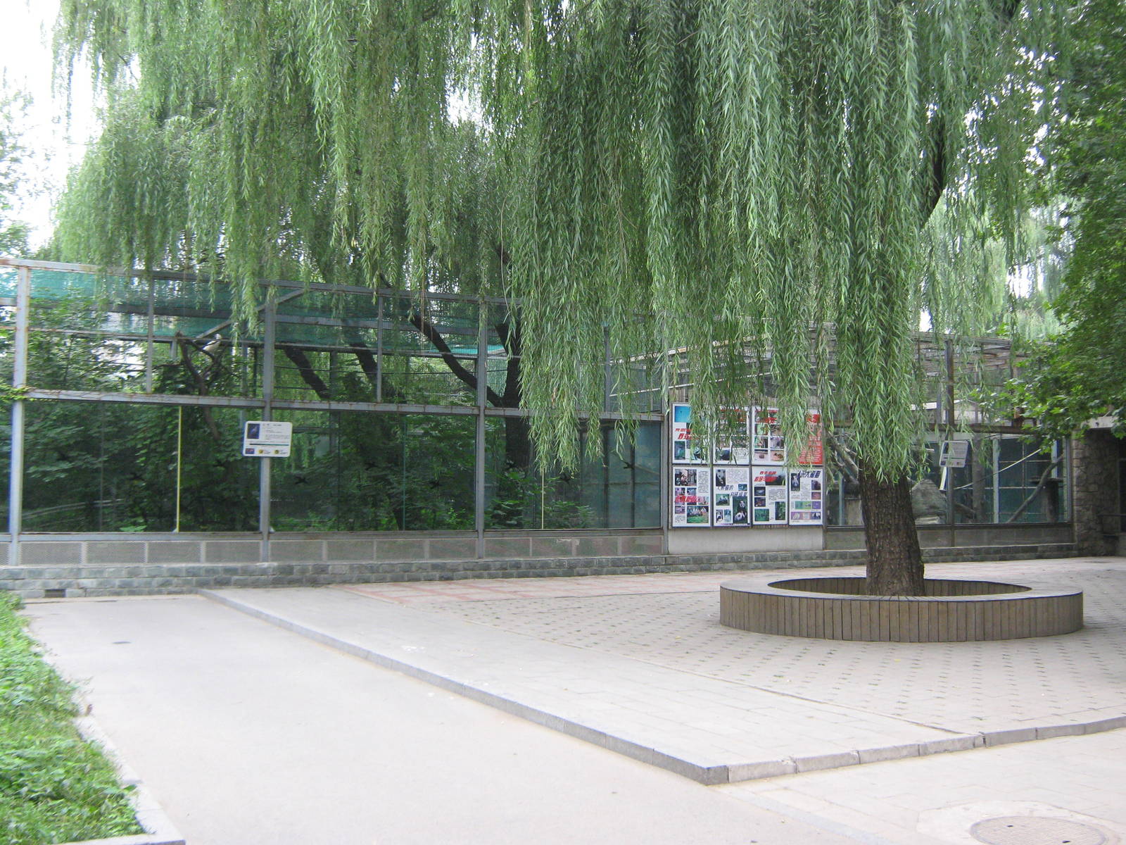 aviary for crested ibis (Nipponia nippon)