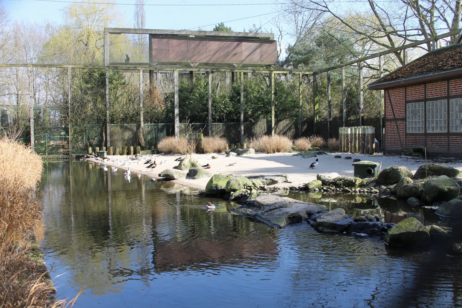 Aviary for different kinds of waterbirds (24/3-19)