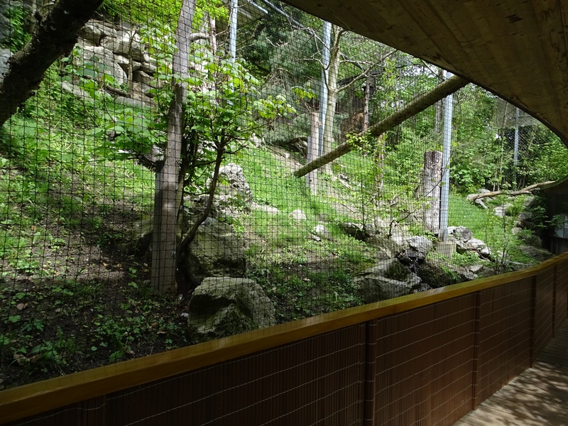 Aviary for Eurasian black vulture, ural owl and honey-buzzard