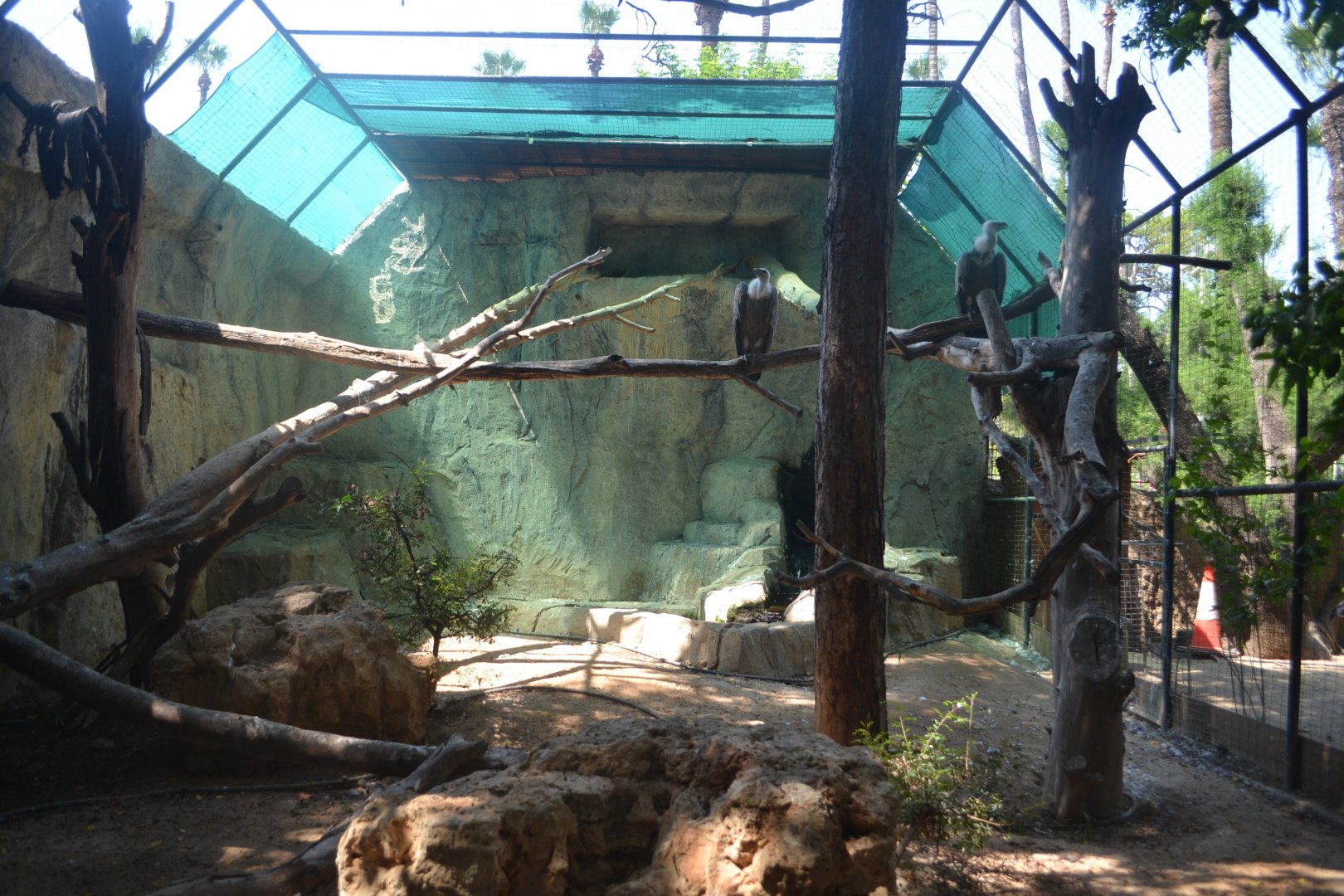 Aviary for Eurasian griffon vultures