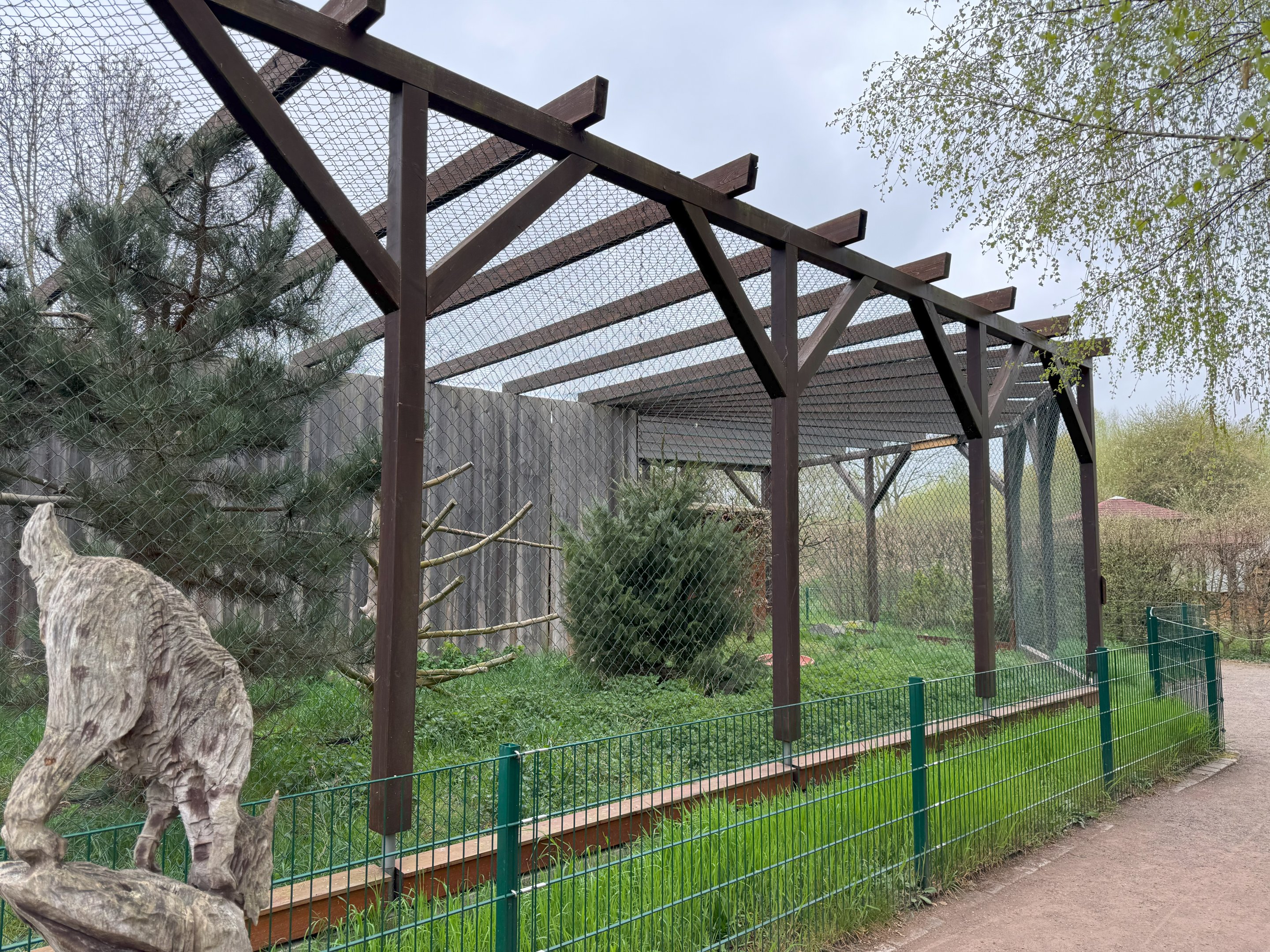 Aviary for European eagle-owl (Bubo bubo bubo)