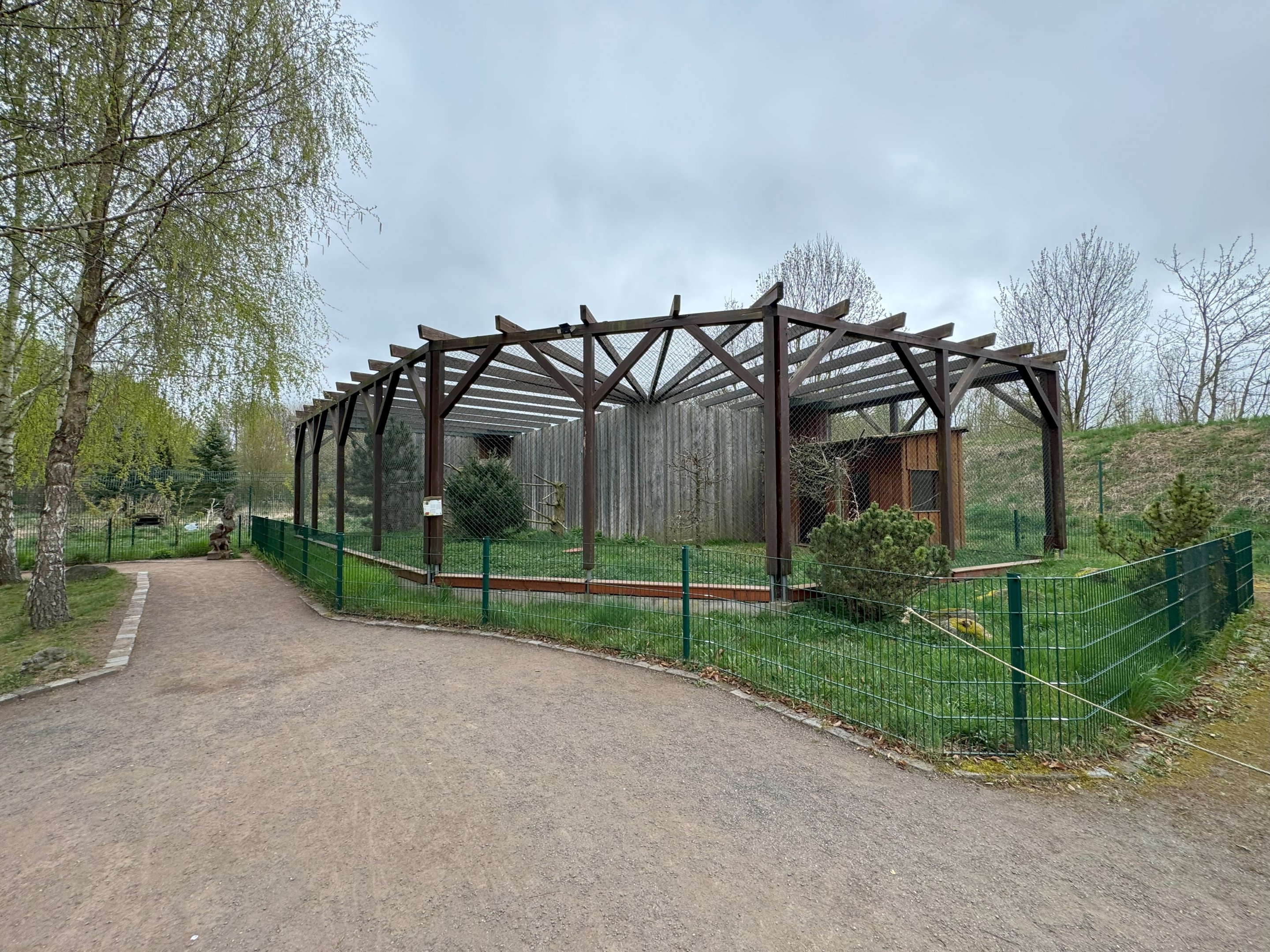 Aviary for European eagle-owl (Bubo bubo bubo)