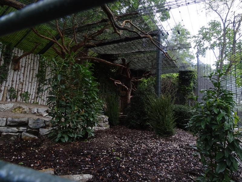 Aviary for European eagle owl