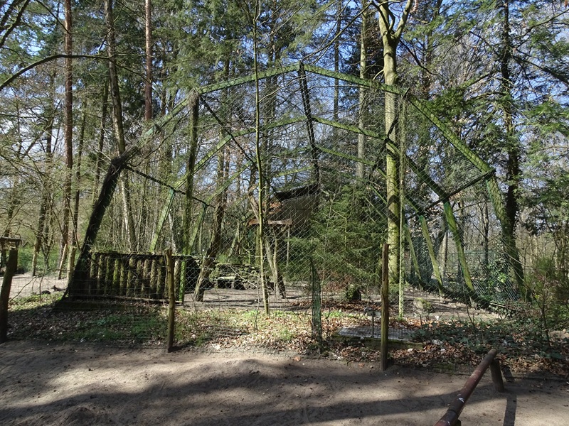 Aviary for European eagle-owl