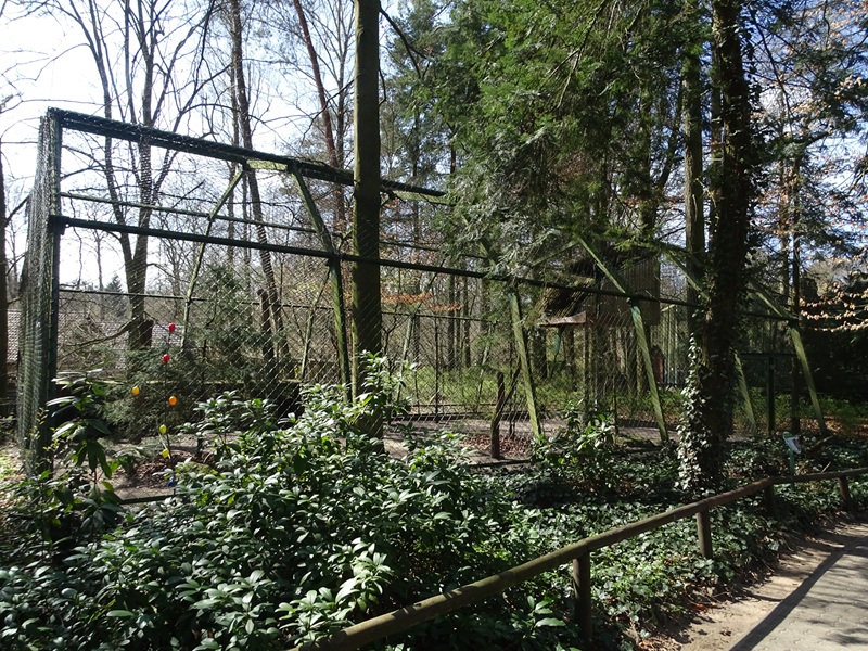 Aviary for European eagle-owl