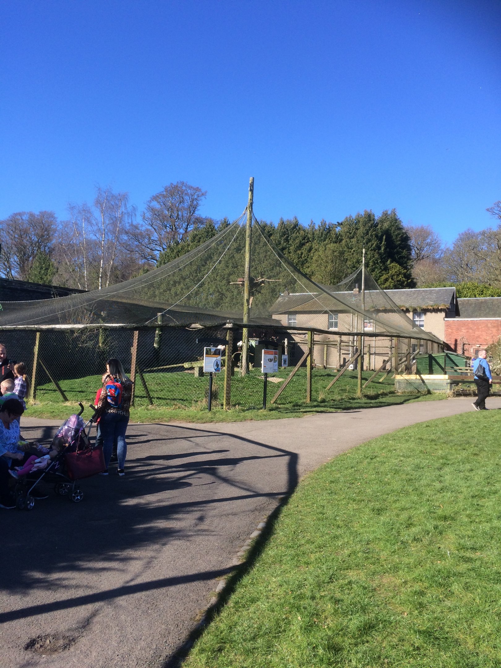 Aviary for European white stork & Waldrapp ibis