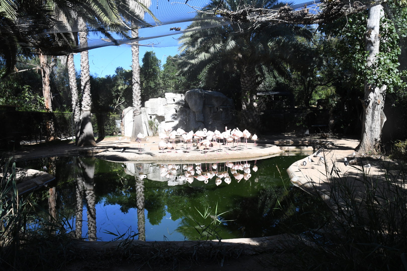 Aviary for Flamingos, Waterfowl, and Wading Birds