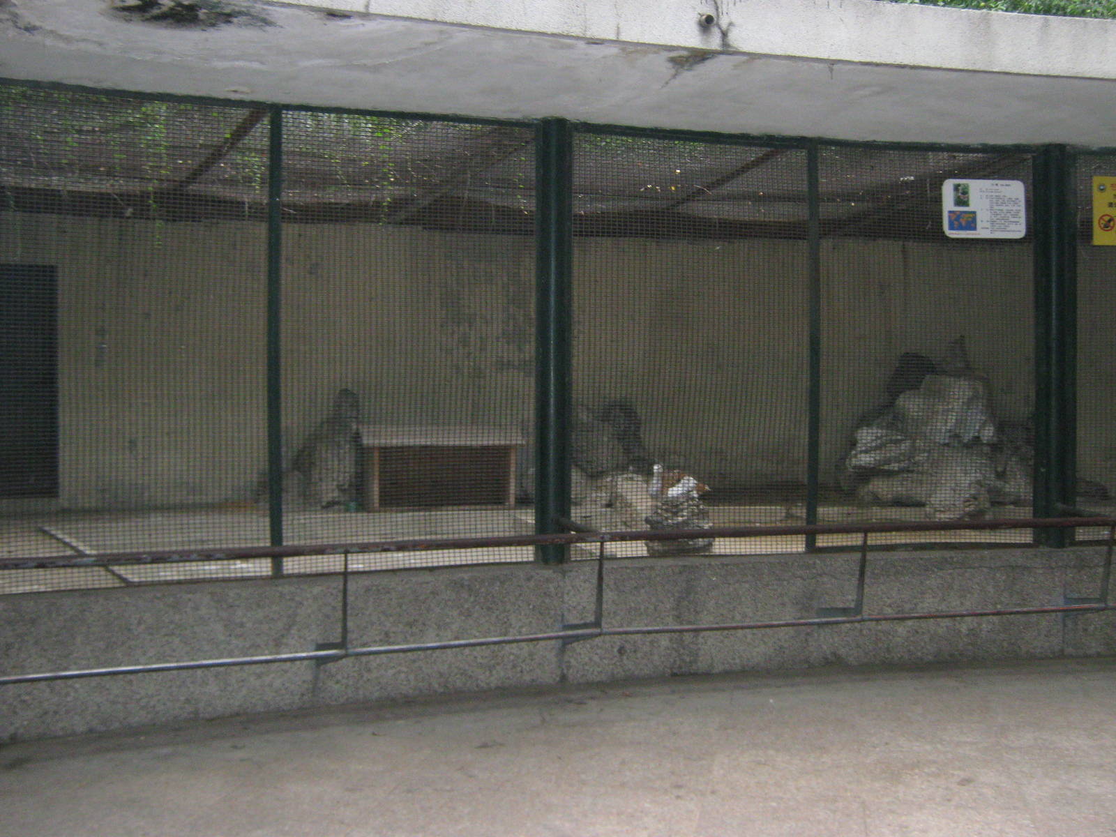 aviary for great bustard (Otis tarda)