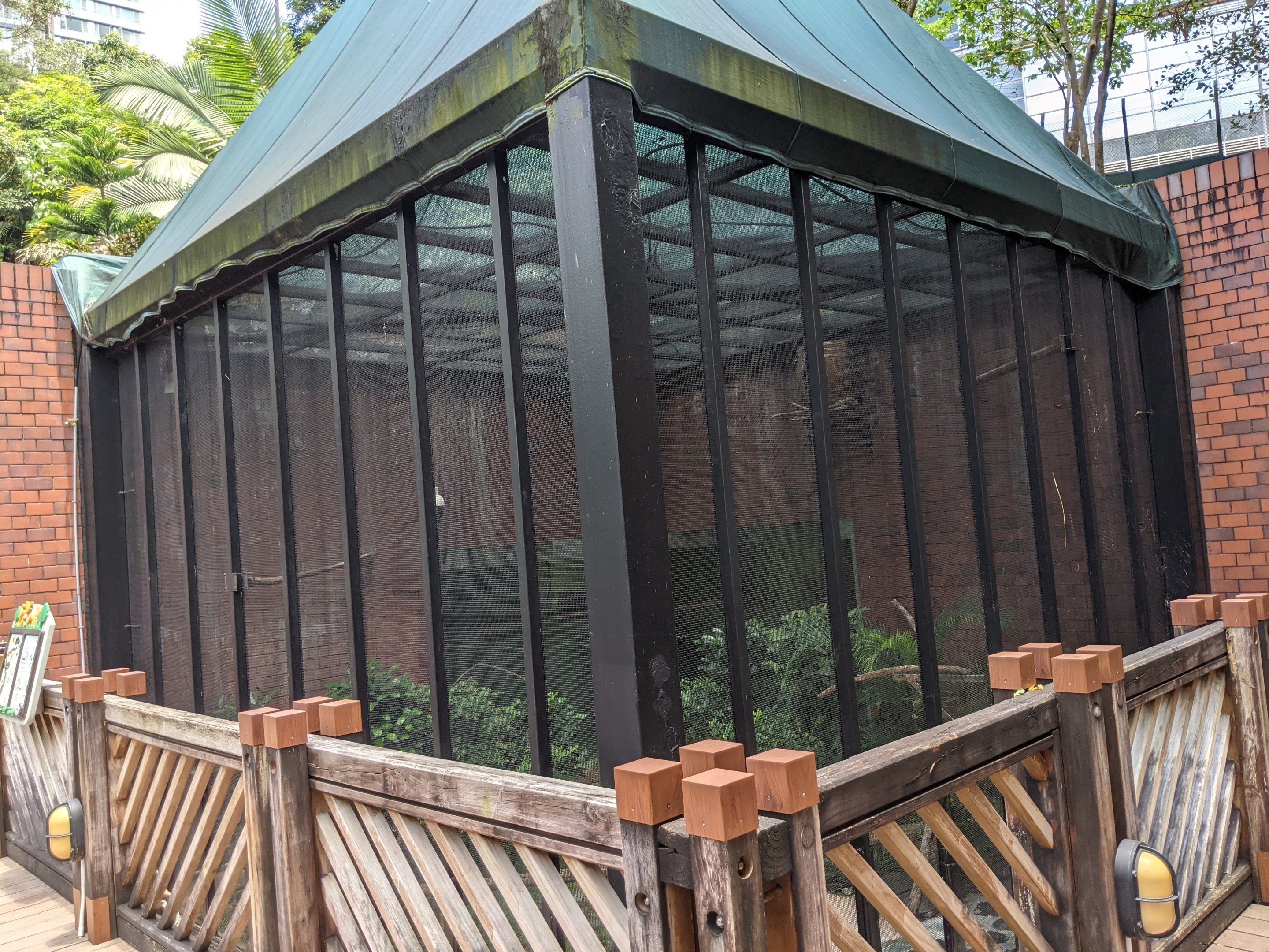 Aviary for Great Hornbill (Buceros bicornis)