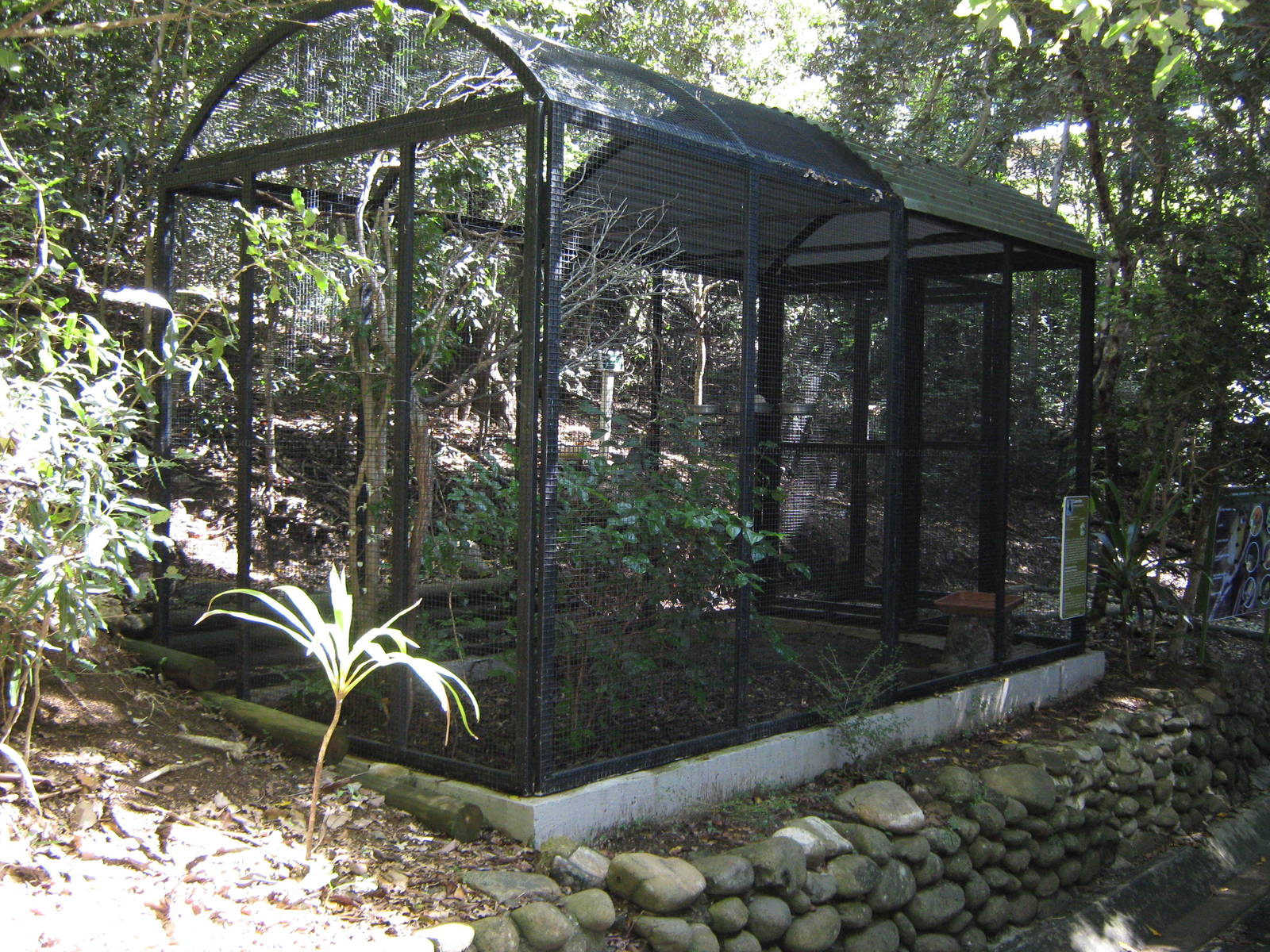 aviary for green-backed white-eyes (Zosterops xanthochroa)