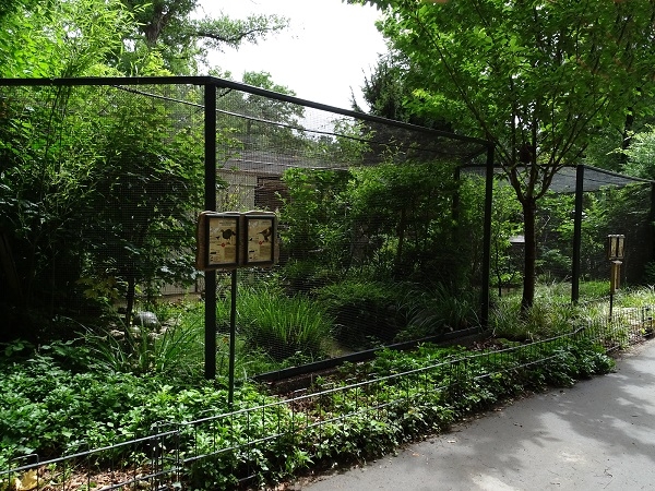 Aviary for grey peacock pheasant and buffy laughingthrush (07/22)