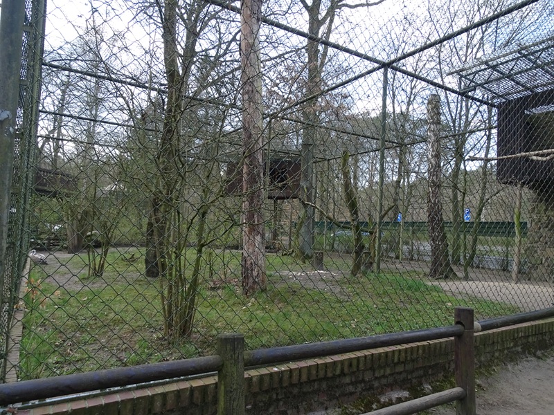 Aviary for griffon vulture