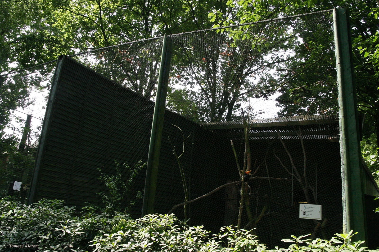 Aviary for Hornbills