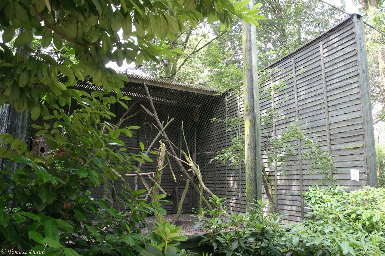 Aviary for Hornbills