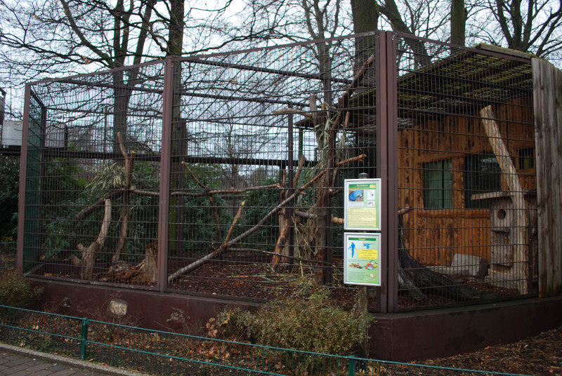 Aviary for Hyazinth macaws