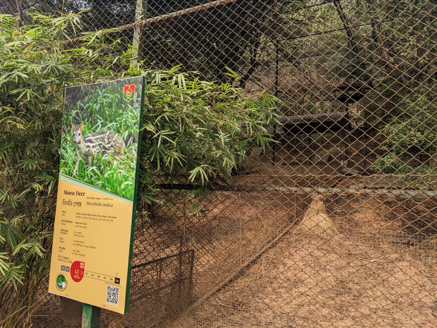 Aviary for Indian chevrotain