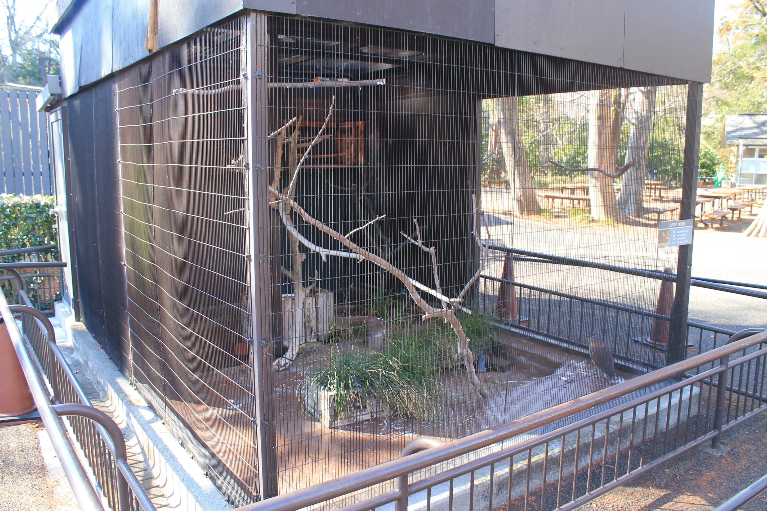 Aviary for Japanese Night Heron