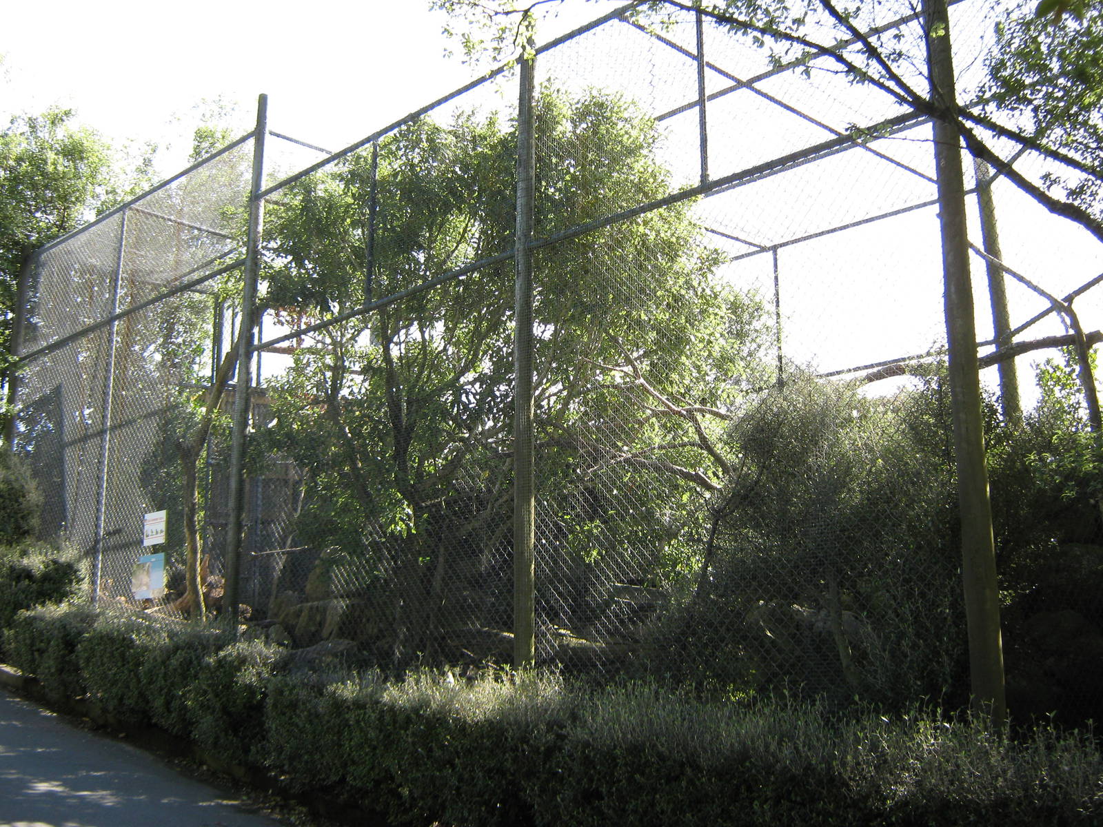 aviary for kea (Nestor notabilis)