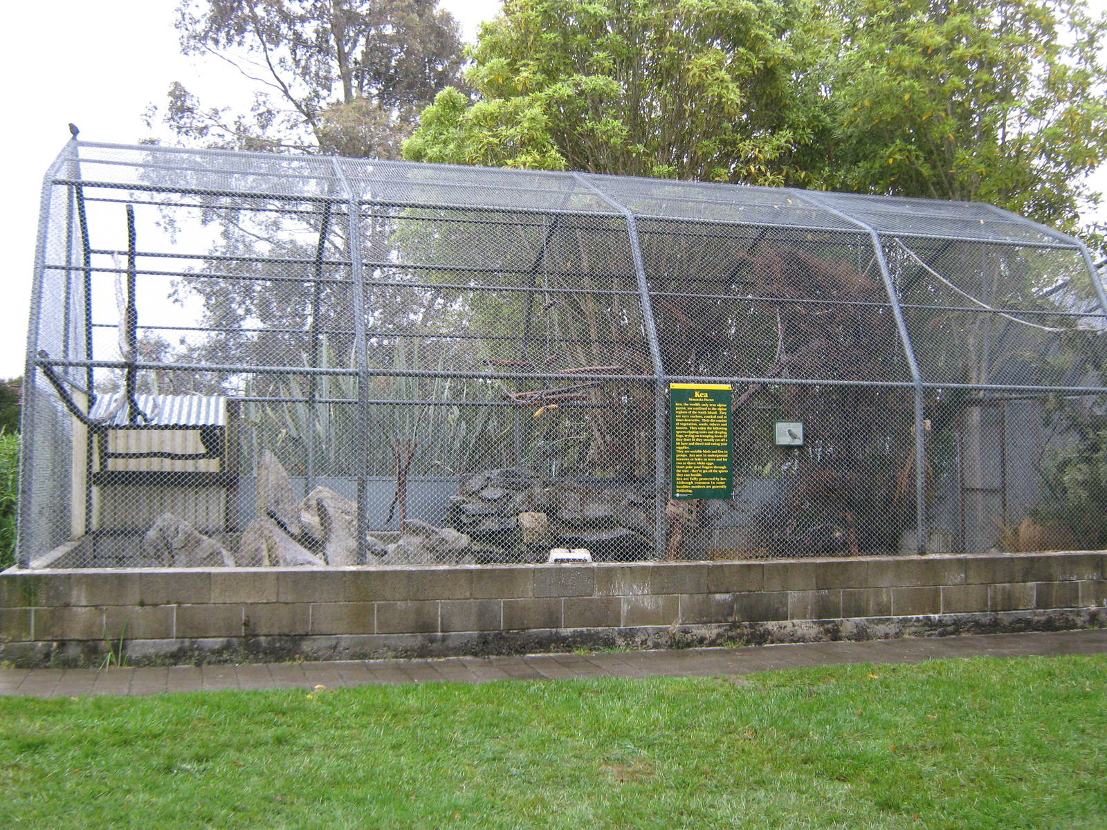 aviary for kea (Nestor notabilis)