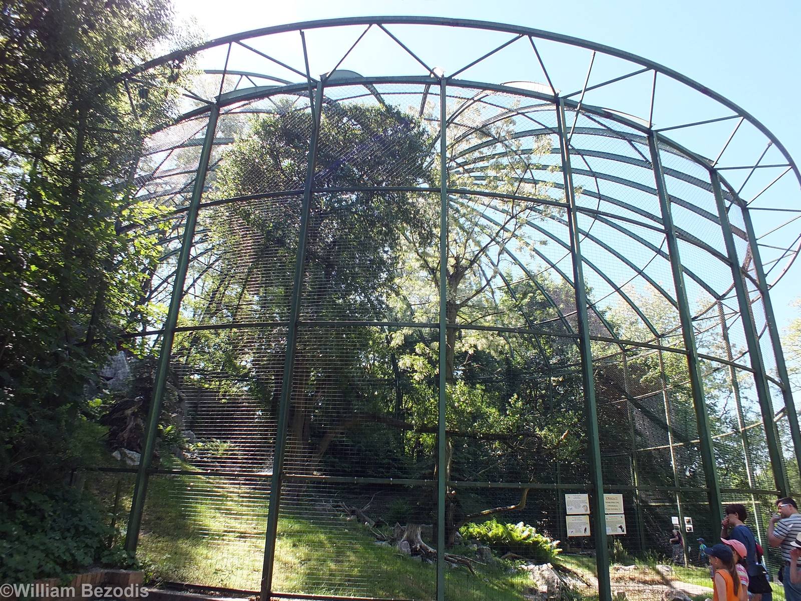 Aviary for Lammergeier, Red Kite and Black Kite