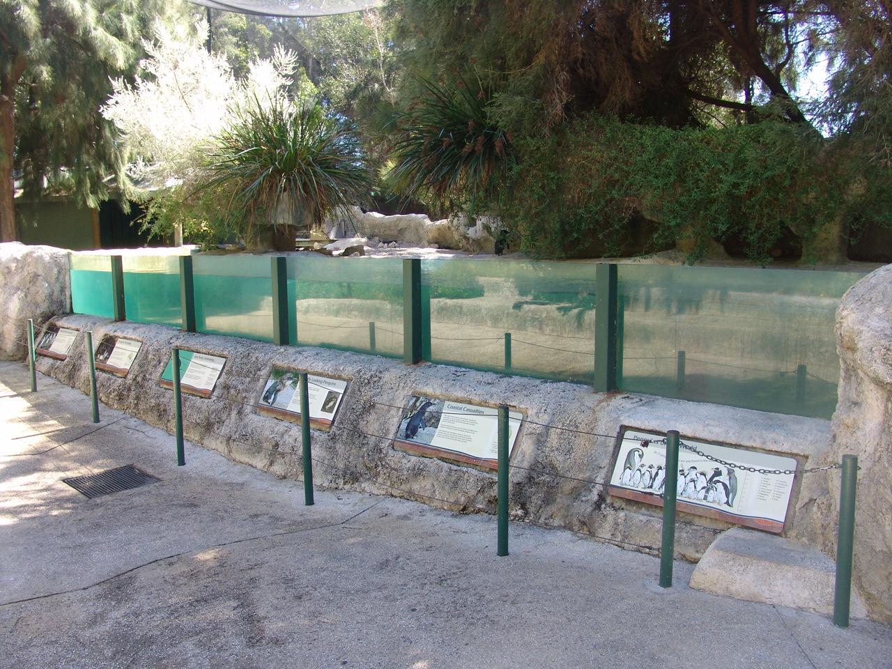 Aviary for Little Penguins (Eudyptula minor) and Bridled Terns (Onychoprion
