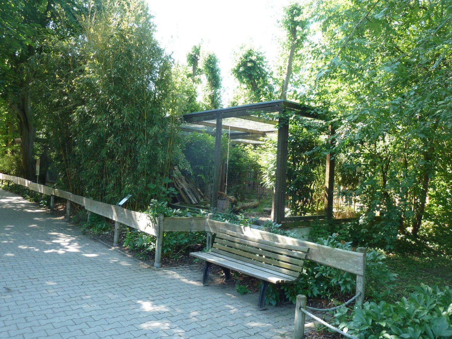 Aviary for local birdlife