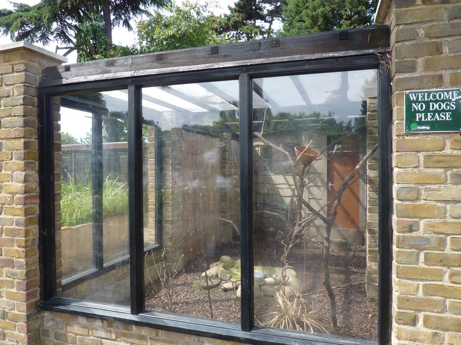 Aviary for lovebirds, cockatiels and Bourke's parrots