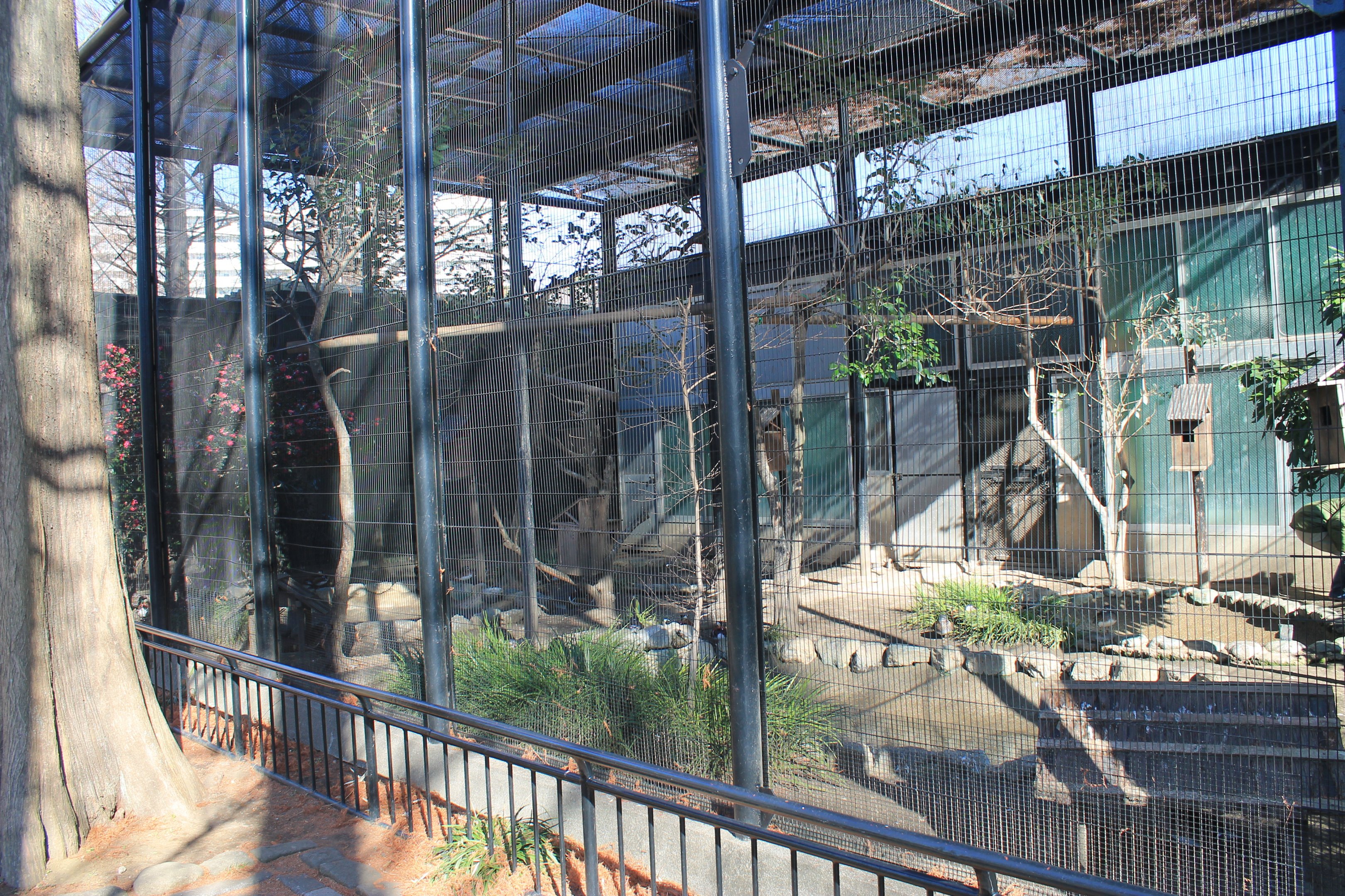 Aviary for Mandarin Ducks