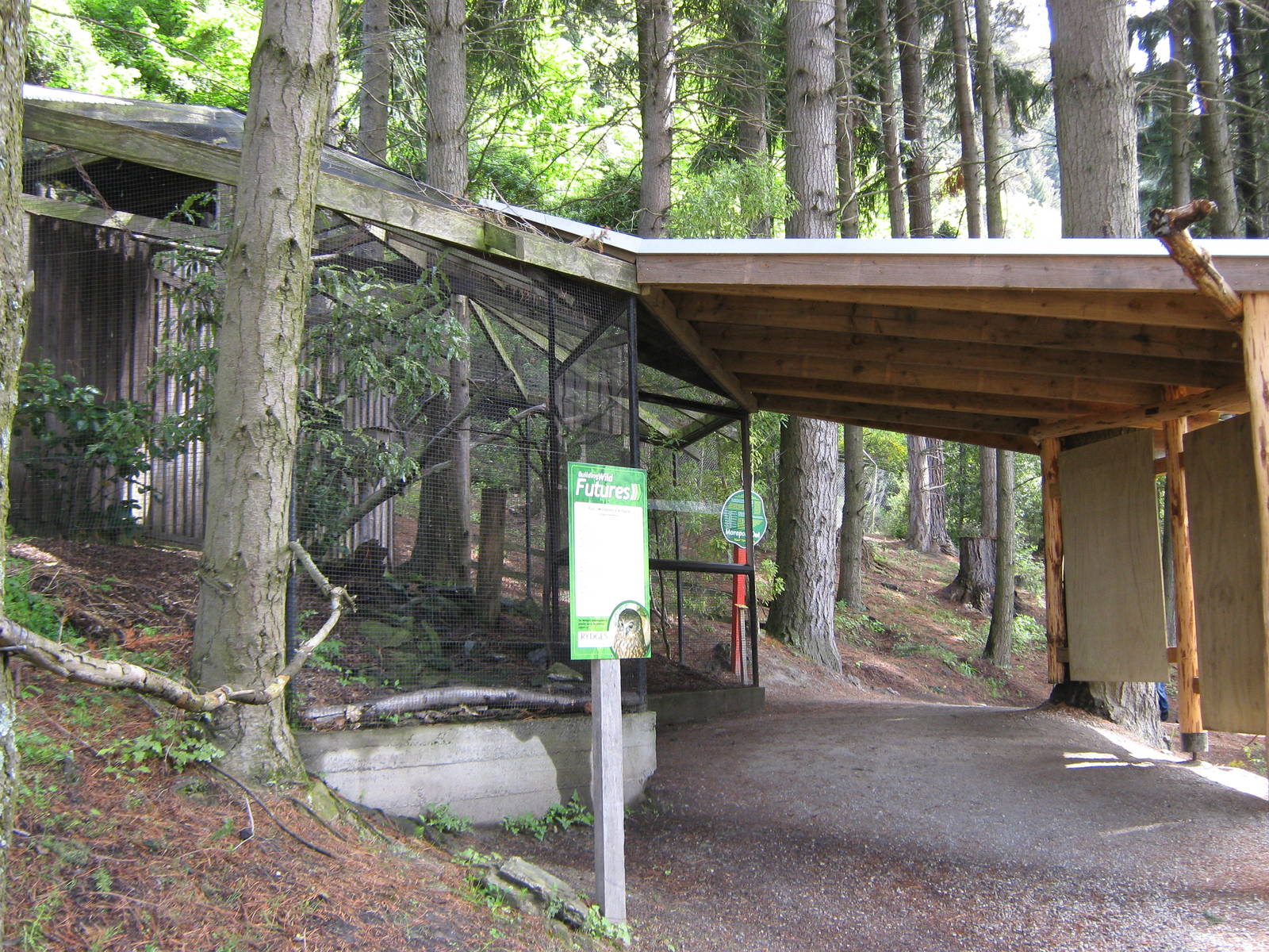 aviary for morepork (Ninox novaeseelandiae)