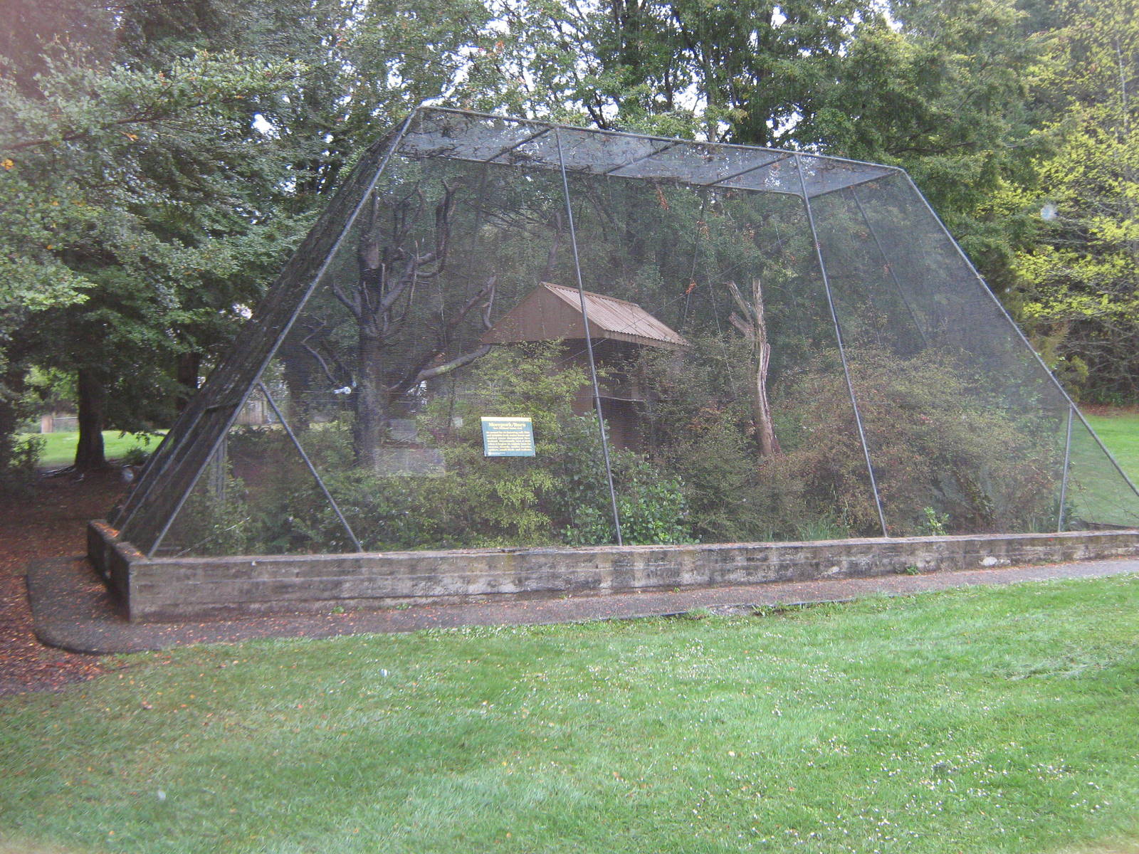 aviary for morepork (Ninox novaeseelandiae)