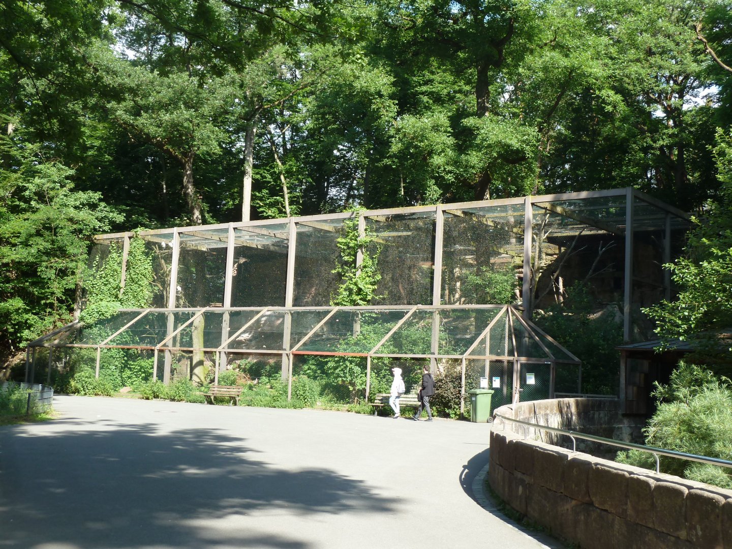 Aviary for northern bald ibis, catle egret, spoonbill and West-Mediterranean purple swamphen