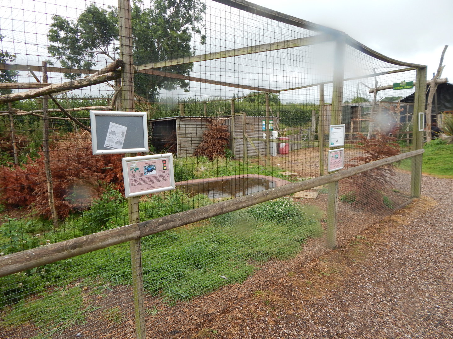 Aviary for Northern helmeted curassow and Hadada ibis 300623